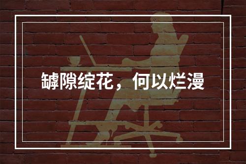 罅隙绽花，何以烂漫