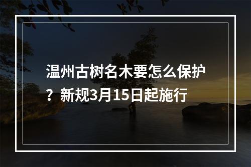 温州古树名木要怎么保护？新规3月15日起施行