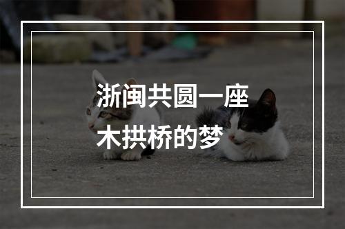 浙闽共圆一座木拱桥的梦