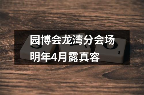 园博会龙湾分会场明年4月露真容