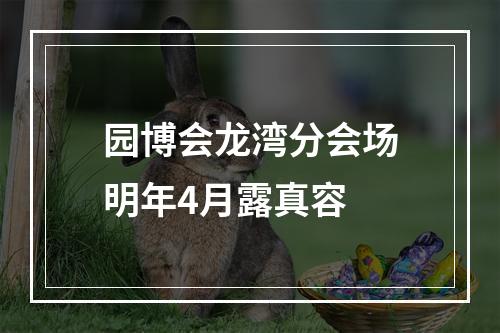 园博会龙湾分会场明年4月露真容