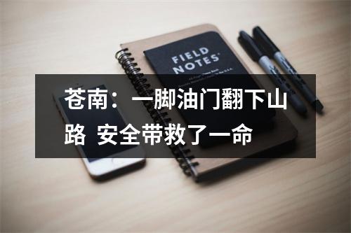 苍南：一脚油门翻下山路  安全带救了一命