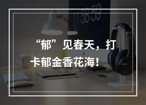 “郁”见春天，打卡郁金香花海！