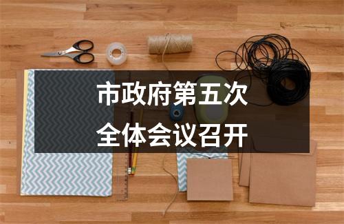 市政府第五次全体会议召开