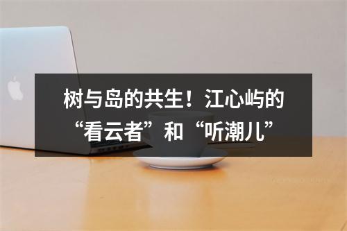 树与岛的共生！江心屿的“看云者”和“听潮儿”