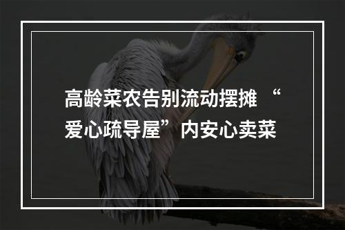 高龄菜农告别流动摆摊 “爱心疏导屋”内安心卖菜