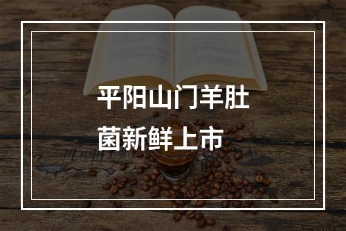 平阳山门羊肚菌新鲜上市