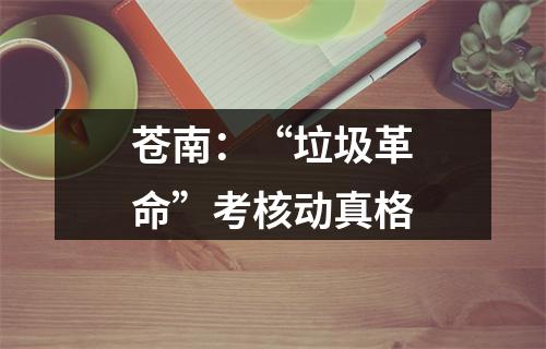 苍南：“垃圾革命”考核动真格