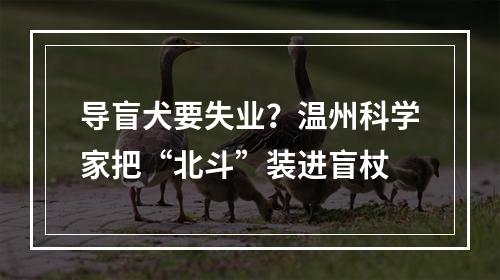 导盲犬要失业？温州科学家把“北斗”装进盲杖