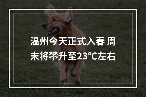 温州今天正式入春 周末将攀升至23℃左右