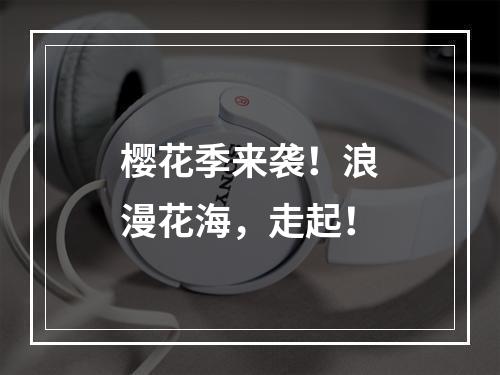 樱花季来袭！浪漫花海，走起！