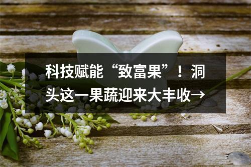 科技赋能“致富果”！洞头这一果蔬迎来大丰收→