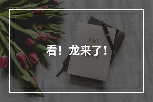看！龙来了！