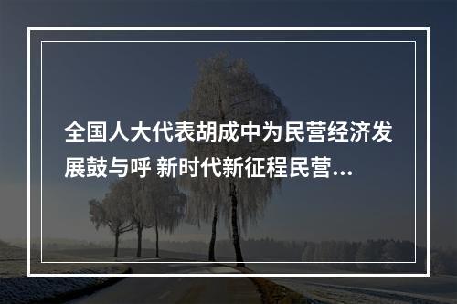 全国人大代表胡成中为民营经济发展鼓与呼 新时代新征程民营经济大有可为