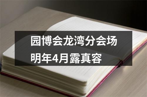 园博会龙湾分会场明年4月露真容