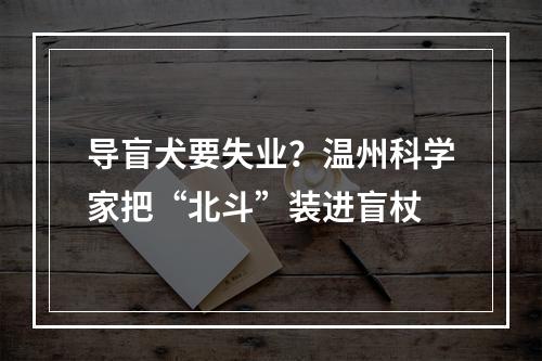 导盲犬要失业？温州科学家把“北斗”装进盲杖