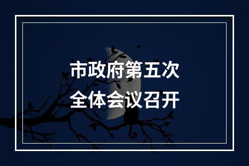 市政府第五次全体会议召开
