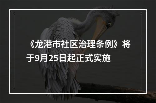 《龙港市社区治理条例》将于9月25日起正式实施