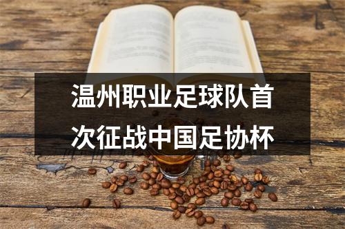 温州职业足球队首次征战中国足协杯