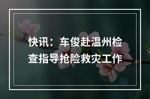 快讯：车俊赴温州检查指导抢险救灾工作
