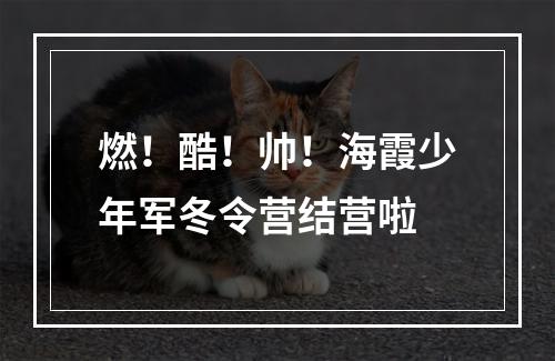 燃！酷！帅！海霞少年军冬令营结营啦