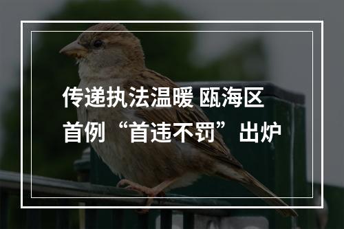 传递执法温暖 瓯海区首例“首违不罚”出炉