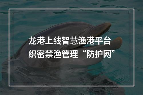 龙港上线智慧渔港平台 织密禁渔管理“防护网”