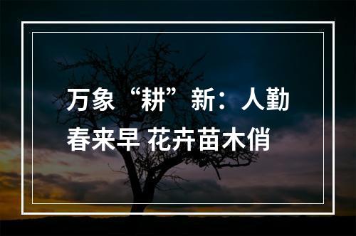 万象“耕”新：人勤春来早 花卉苗木俏