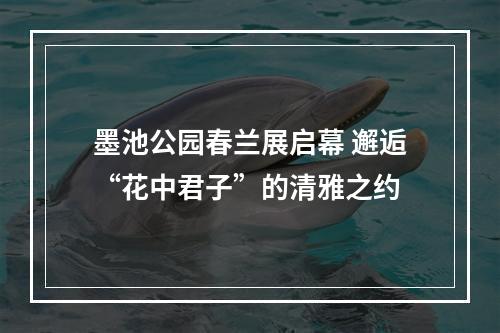 墨池公园春兰展启幕 邂逅“花中君子”的清雅之约