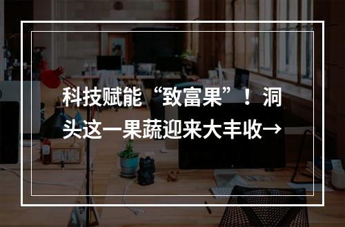 科技赋能“致富果”！洞头这一果蔬迎来大丰收→