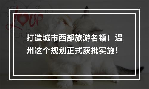 打造城市西部旅游名镇！温州这个规划正式获批实施！
