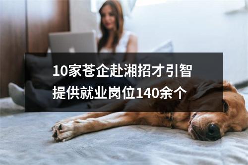 10家苍企赴湘招才引智 提供就业岗位140余个