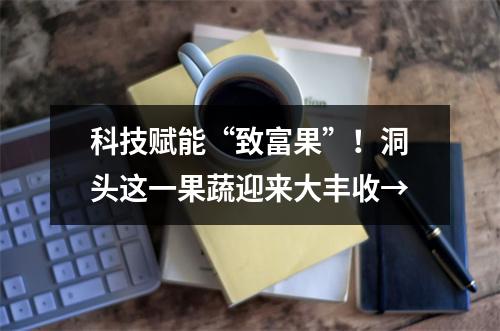 科技赋能“致富果”！洞头这一果蔬迎来大丰收→