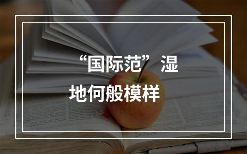 “国际范”湿地何般模样