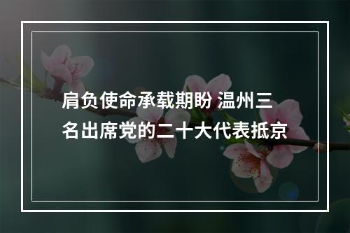 肩负使命承载期盼 温州三名出席党的二十大代表抵京