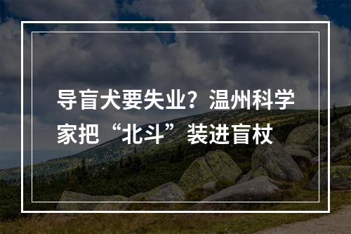 导盲犬要失业？温州科学家把“北斗”装进盲杖
