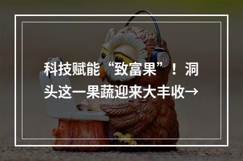 科技赋能“致富果”！洞头这一果蔬迎来大丰收→