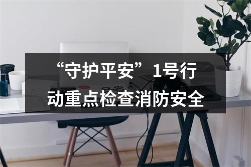 “守护平安”1号行动重点检查消防安全