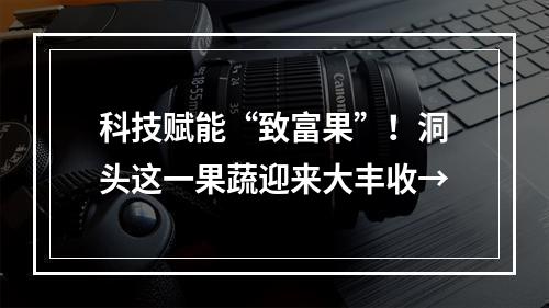 科技赋能“致富果”！洞头这一果蔬迎来大丰收→