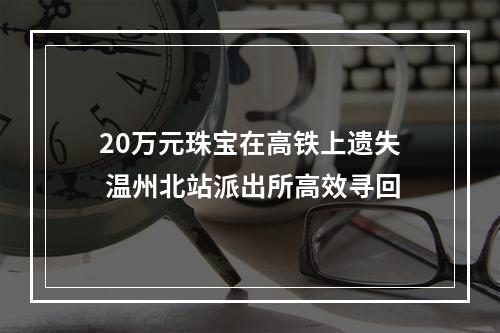 20万元珠宝在高铁上遗失 温州北站派出所高效寻回