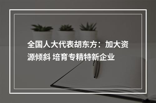 全国人大代表胡东方：加大资源倾斜 培育专精特新企业