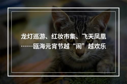 龙灯巡游、红妆市集、飞天凤凰……瓯海元宵节越“闹”越欢乐
