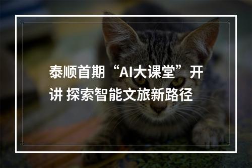 泰顺首期“AI大课堂”开讲 探索智能文旅新路径