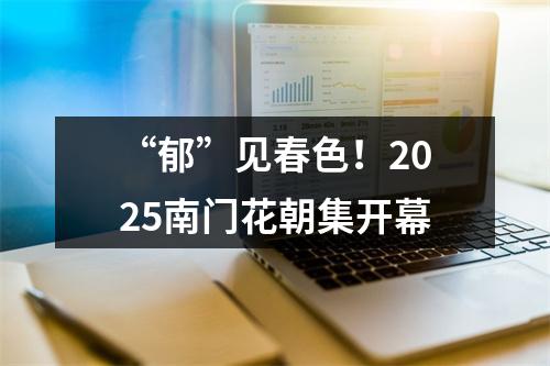 “郁”见春色！2025南门花朝集开幕