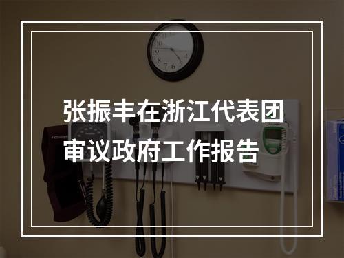 张振丰在浙江代表团审议政府工作报告