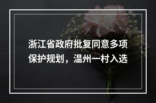 浙江省政府批复同意多项保护规划，温州一村入选