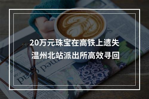 20万元珠宝在高铁上遗失 温州北站派出所高效寻回