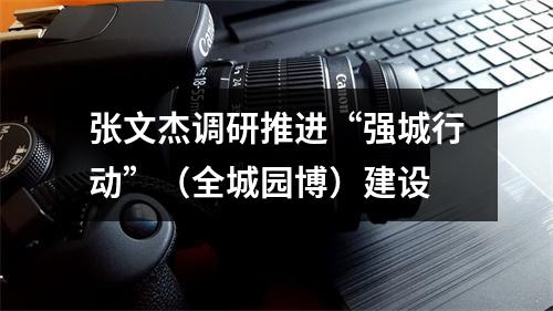 张文杰调研推进“强城行动”（全城园博）建设