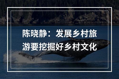 陈晓静：发展乡村旅游要挖掘好乡村文化