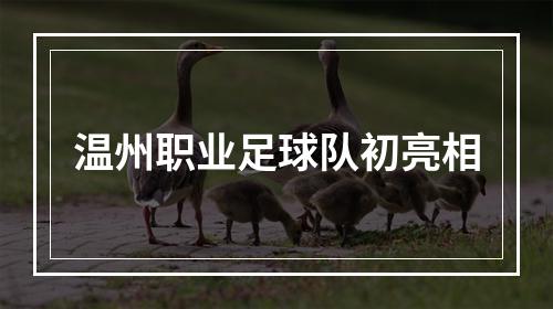 温州职业足球队初亮相